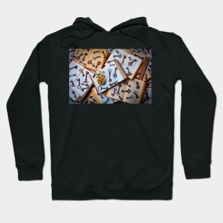 Owl Lock And Old Keys On Books Hoodie